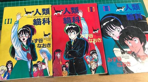 神楽坂週記 敬逝去的青春與純情 水谷直樹與 人類貓科 自由評論網