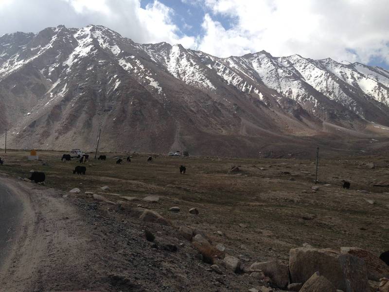 前往班公措的途中。（作者提供）