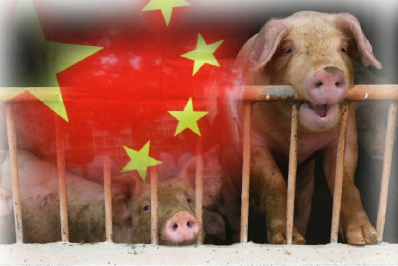 國共兩黨共同鎖定「反萊豬」操弄資訊！？