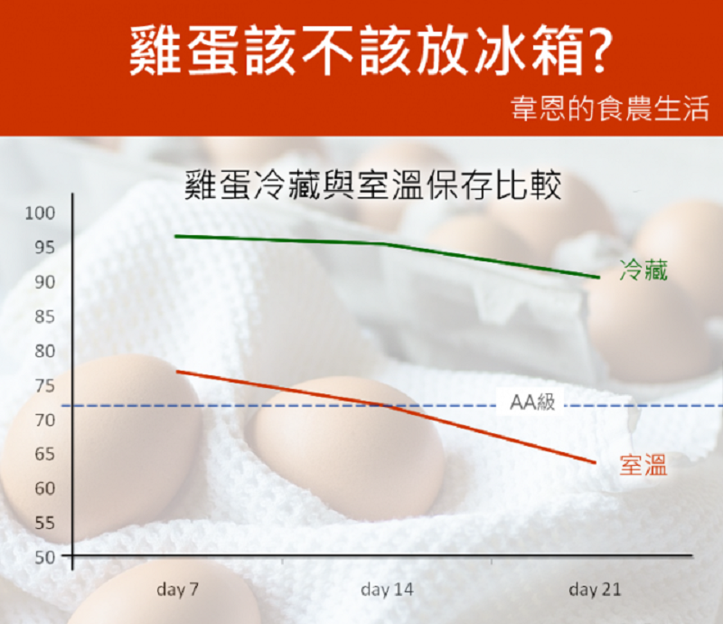 韋恩的食農生活》雞蛋到底該放室溫還是冷藏？雞蛋的保存期限到底多長？別聽英國研究了！