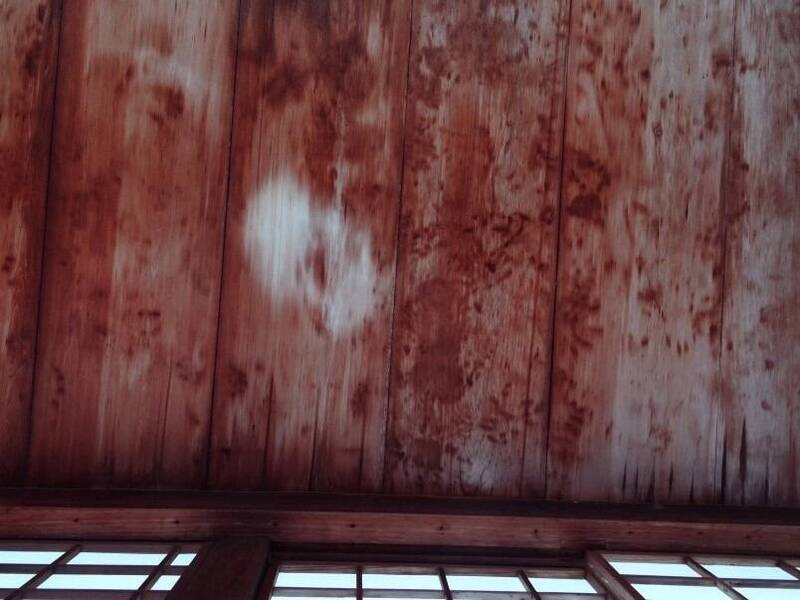 （圖片來源：The Bloody Ceilings of Kyoto, Japan｜BURIALS & BEYOND）