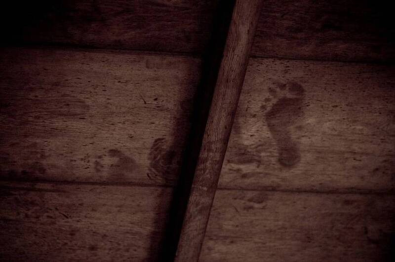 （圖片來源：The Bloody Ceilings of Kyoto, Japan｜BURIALS & BEYOND）