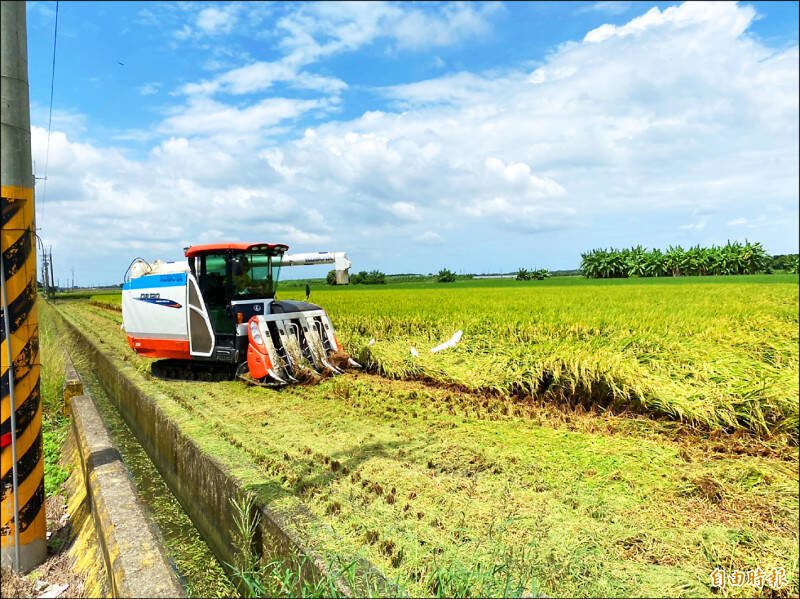 國眾兩黨立委在立院通過公糧價每公斤提高五元，從二十六元調漲到三十一元決議。農業部長陳駿季昨天強調，公糧漲價連生產端的資材都會大漲。（資料照）