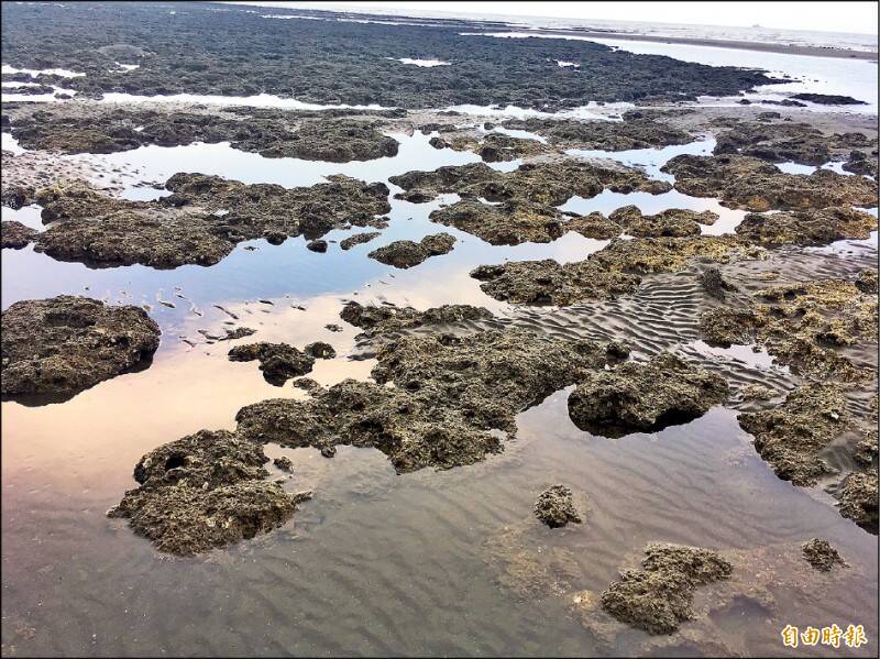 過去紅統拿著環保議題在洗中間選民的策略，他們哪裡在乎藻礁、在乎空污了？（資料照）