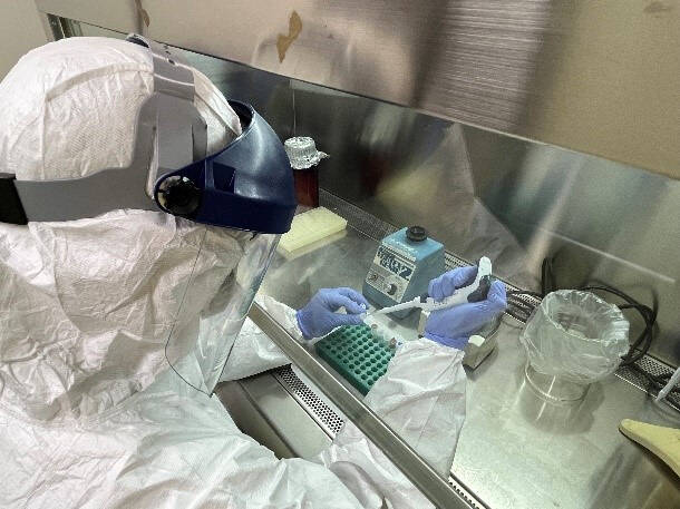 獸醫所的豬瘟參考實驗室獲得WOAH認可為參考實驗室，目前全球僅有9座。（獸醫所提供）