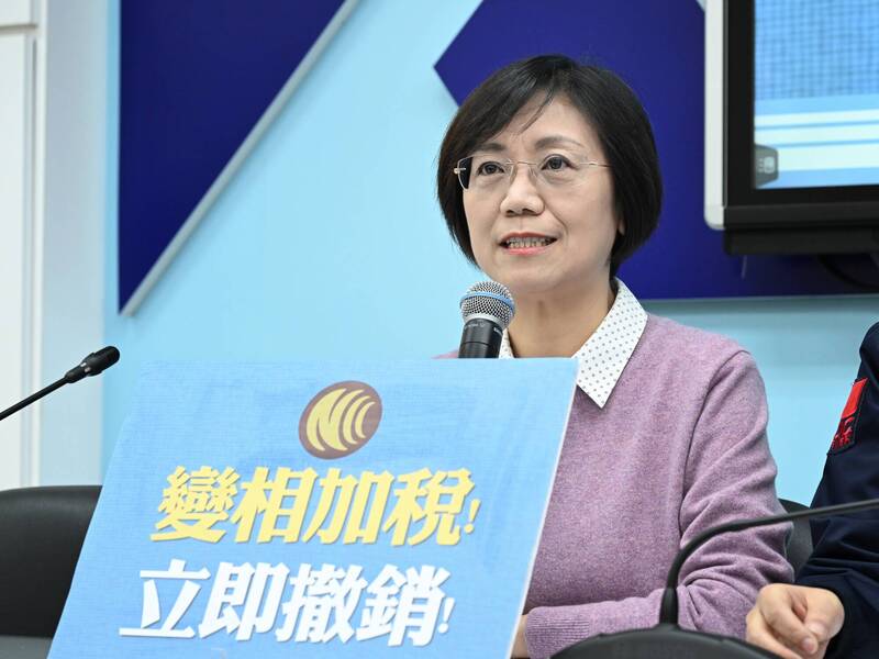 國民黨立委翁曉玲。（記者陳逸寬攝）