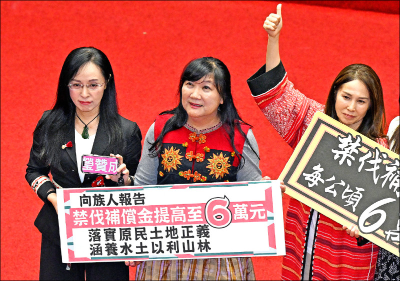 罷免原住民立委，除了容易或困難，還有更基本的憲政原理，值得國人集思廣義。（資料照）