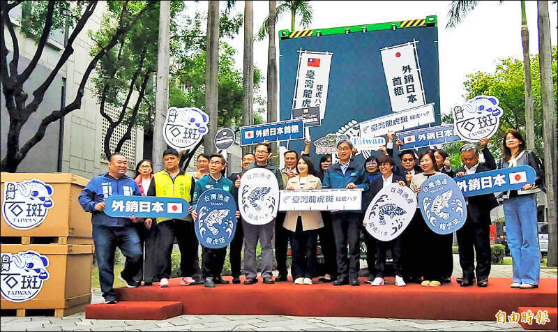 今年2月台灣龍虎斑外銷日本，首櫃從屏東啟航。（資料照）