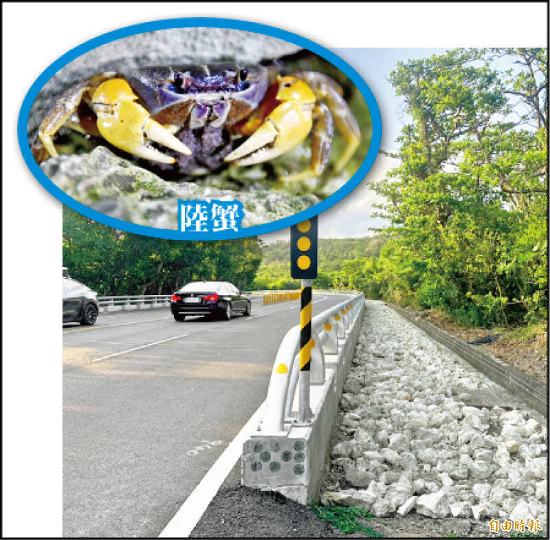 夏季正值陸蟹降海釋幼時節，墾丁「陸蟹廊道」成功降低路殺。（資料照）