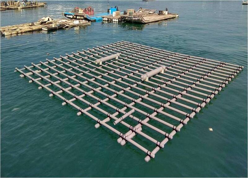 自由開講》從蚵棚拆除談起：一場攸關主權、環保與地方生計的轉型關鍵戰