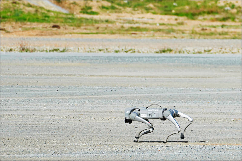 名家分享～侯宗佑》從專業角度 看引進中國機器狗的三大問題