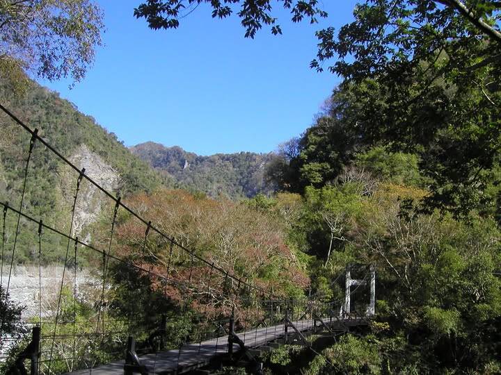 昔日的梅園竹村步道一景。（取自貼文）