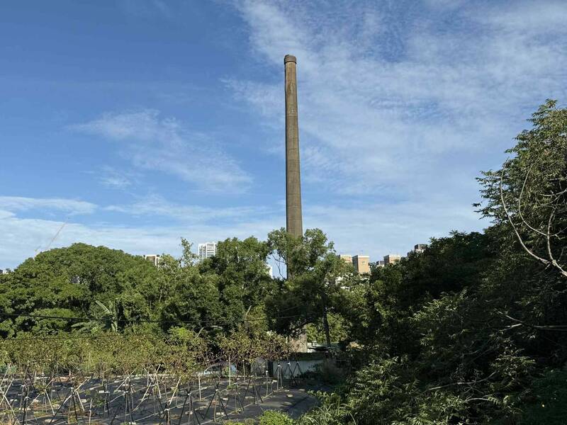 檔案瑰寶》林口的蛻變：從茶園、磚廠到新市鎮崛起