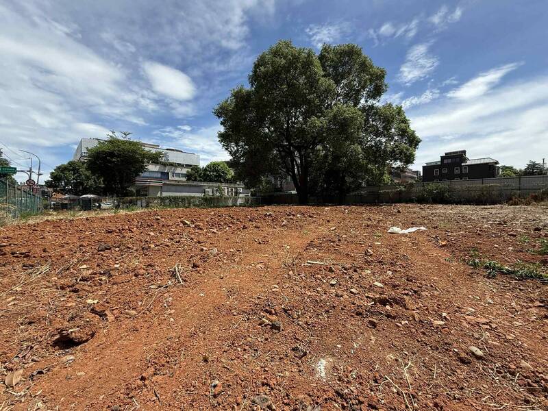 檔案瑰寶》林口的蛻變：從茶園、磚廠到新市鎮崛起