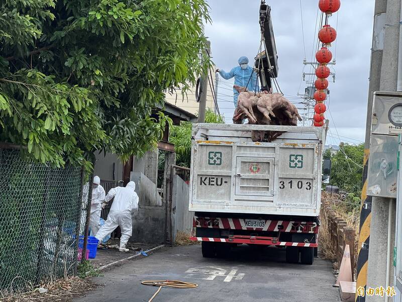 自由開講》追究失職、制止惡者禍國 人人有責！