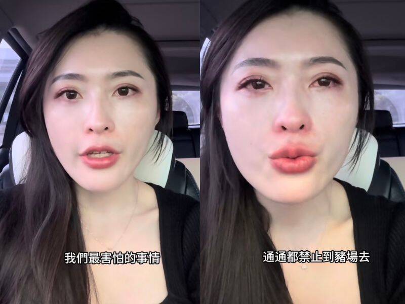 台灣爆發非洲豬瘟，使養豬業與肉品市場全面停擺。有豬肉公主之稱的王怡瑄，10月23日於Instagram發文哽咽表示：「最害怕的事情終究發生了」。（翻攝自Instagram@hsuan8288，本報合成）