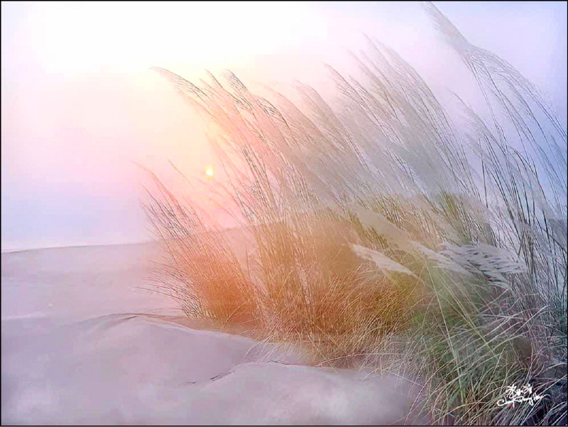 （許釗滂作品）