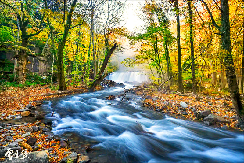 銚子歸來不看瀑（曾進發作品）