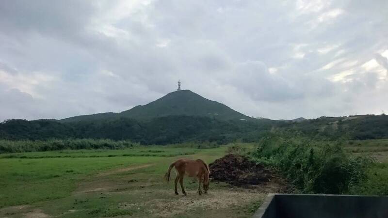 研之有物》距離臺灣最近的日本：揭開沖繩與那國島的身世之謎（中）