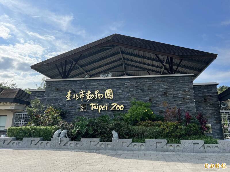 大貓熊的繁殖，由台北動物園完成，但手握主導權的全是中國。（資料照）