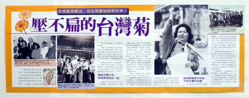 1991年陳菊從高雄出發，以壓不扁的台灣菊參選高雄市國大代表，高票當選國代。（取自貼文）