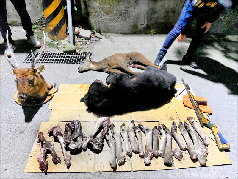 警方發現冰箱內有台灣黑熊和台灣野山羊各一隻，台灣水鹿腳十四隻，以及水鹿頭標本一件。而前後三年內遭到獵殺的台灣黑熊共有四隻，機車上的黑熊即是第四隻。（資料照，屏東地檢署提供）
