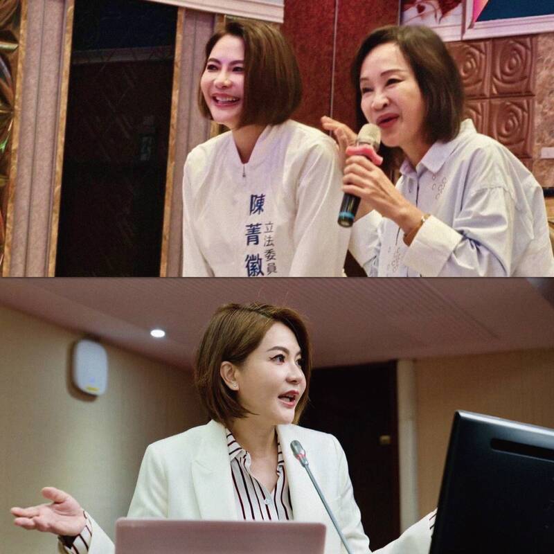 陳菁徽在當上立委前，是「宜蘊生殖醫學中心的創辦人」，就職還不到一個月，提案在《人工生殖法》裡放入「代理孕母合法化」。（取自貼文）