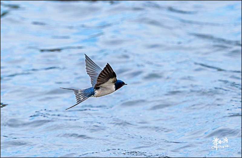 （許釗滂作品）