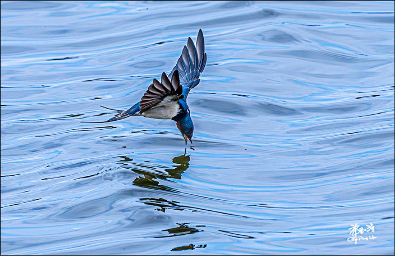 （許釗滂作品）