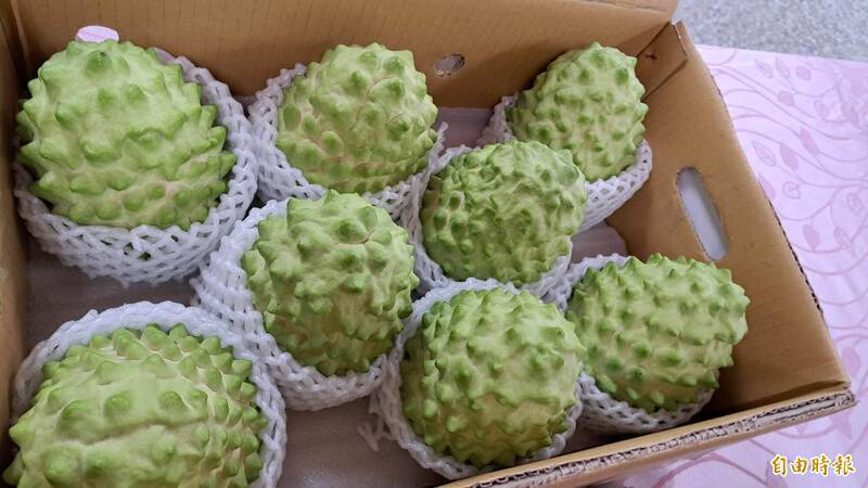 自由開講》市場多元化 從印度蝦業震盪看台灣戰略選擇