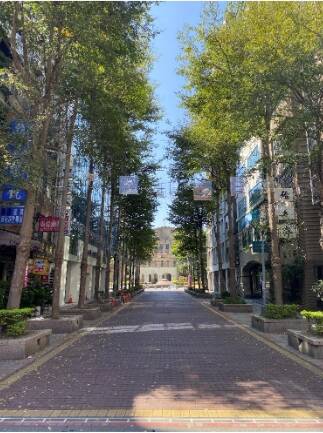 中山堂前的林蔭大道。（作者提供）