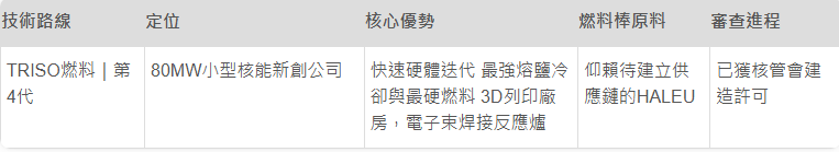 Kairos Power：谷歌欽點黑馬介紹。（取自貼文）