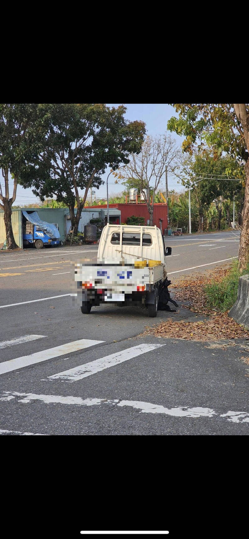 自由開講》新加坡「剪貓鬚案」 看不見的傷痕 同樣是虐待