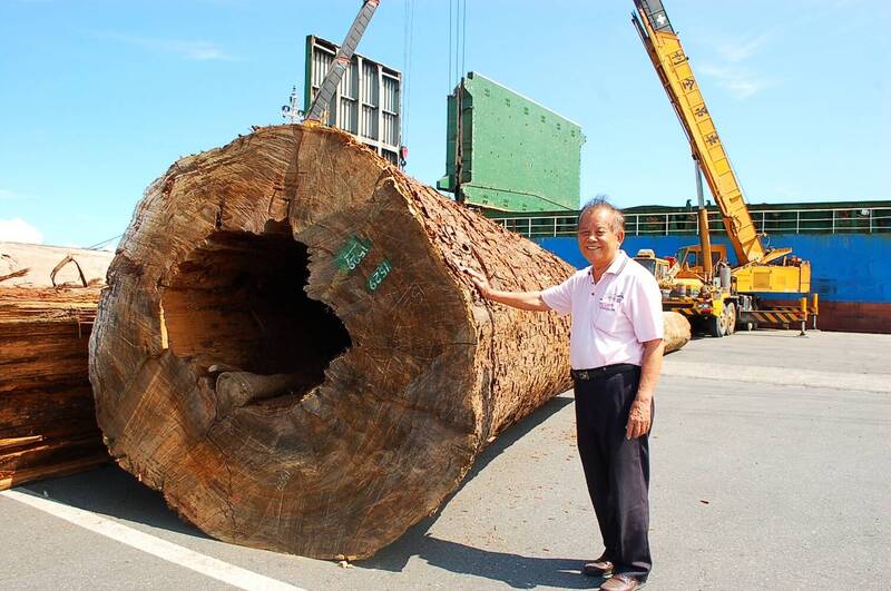 台灣森林覆蓋率超過六成，卻在木材利用上高度依賴進口材；圖為寮國進口香杉。（資料照）