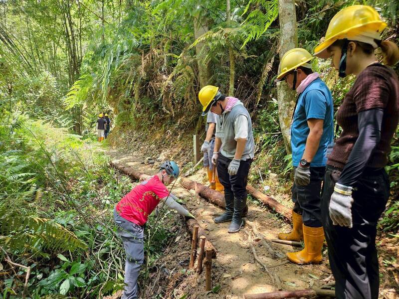 澀水森林手作步道，揮別了過去只強調在植樹節種下幾棵樹、綠化多少面積的短暫成果；圖為台日大學師生，共同參與南投魚池澀水森林步道的手作步道活動。（資料照，林保署南投分署提供）