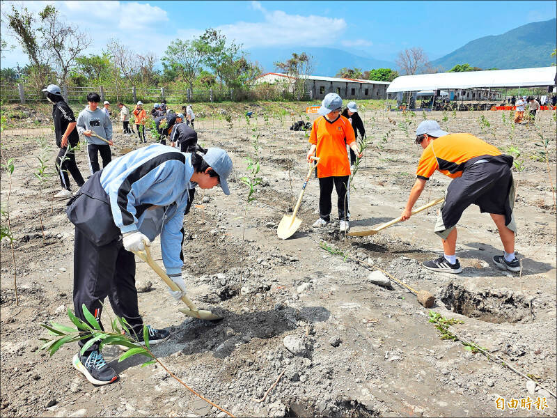 對許多民眾而言，透過親手種下樹苗，不僅美化家園，更是從參與中喚起環境意識；示意圖。（資料照）