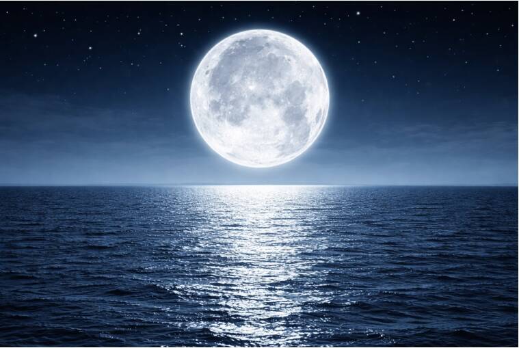 研之有物》來趟 VR 電影之旅：睜開「觸受之眼」感受《無法離開的人》（下）