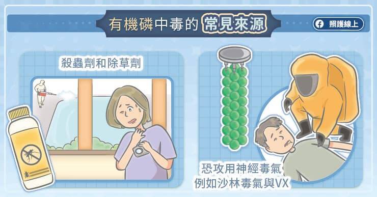 有機磷中毒的常見來源有殺蟲劑和除草劑，以及神經毒氣。（取自貼文）