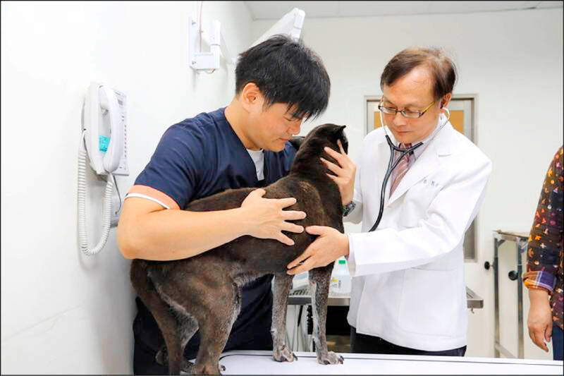 113年，在藥師、獸醫師及飼主團體共同努力下，通過兼顧動物及人類用藥權益及安全性的「人用藥品用於犬貓及非經濟動物之使用管理辦法」。（資料照）