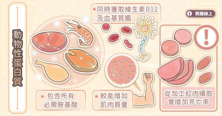 動物性蛋白質會提供我們足量的「必需胺基酸」。（取自貼文）