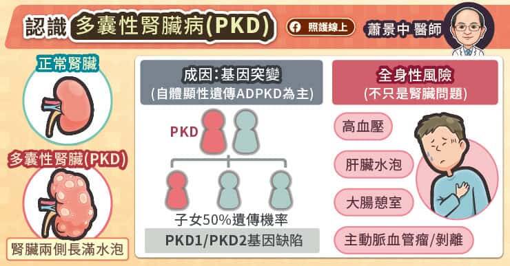 多囊腎患者除了腎臟會出現水泡之外，也會合併高血壓、肝臟水泡及結締組織異常，如：大腸憩室、主動脈血管瘤等。（取自貼文）