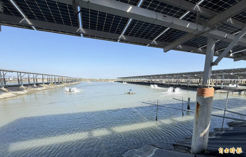 太陽光電等再生能源的供電能力將持續增加，如台南市漁電共生案場能夠發電兼養殖。（資料照）