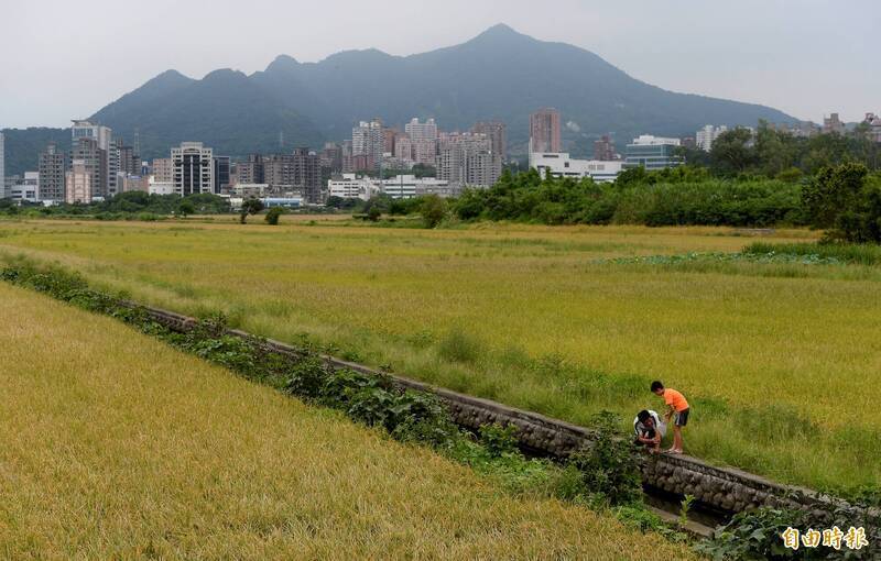 關渡平原（見圖）、大度路以南公園用地及洲美平原由「農發五」劃為「城鄉一」，台北市政府送內政部審查。（資料照）