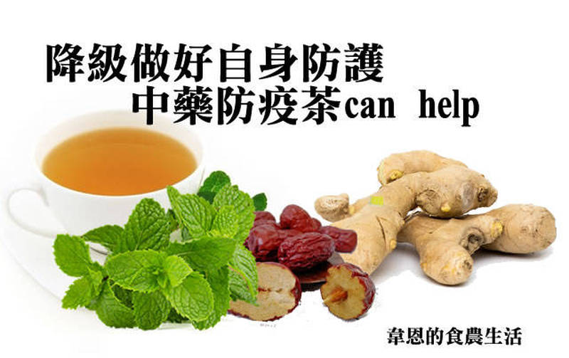 韋恩的食農生活》降級做好自身防護，中藥防疫茶can help！ - 自由