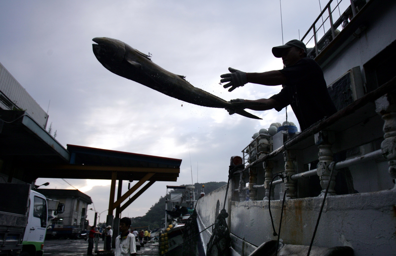自由開講》別讓「像鬼一樣工作」成為台灣制度的註腳