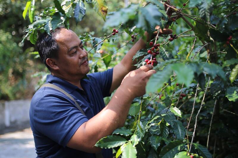 自由開講》青壯年回流農村夢驚醒：農保無門 社會保障受考驗