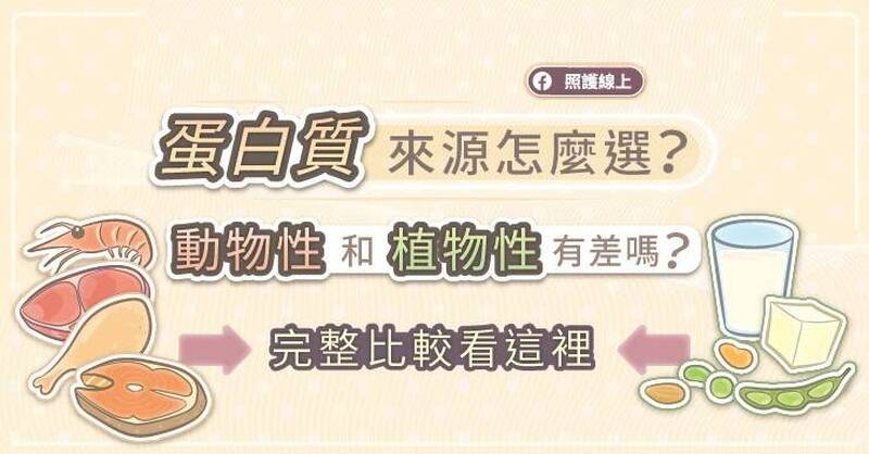 照護線上》蛋白質來源怎麼選？動物性和植物性有差嗎？完整比較看這裡