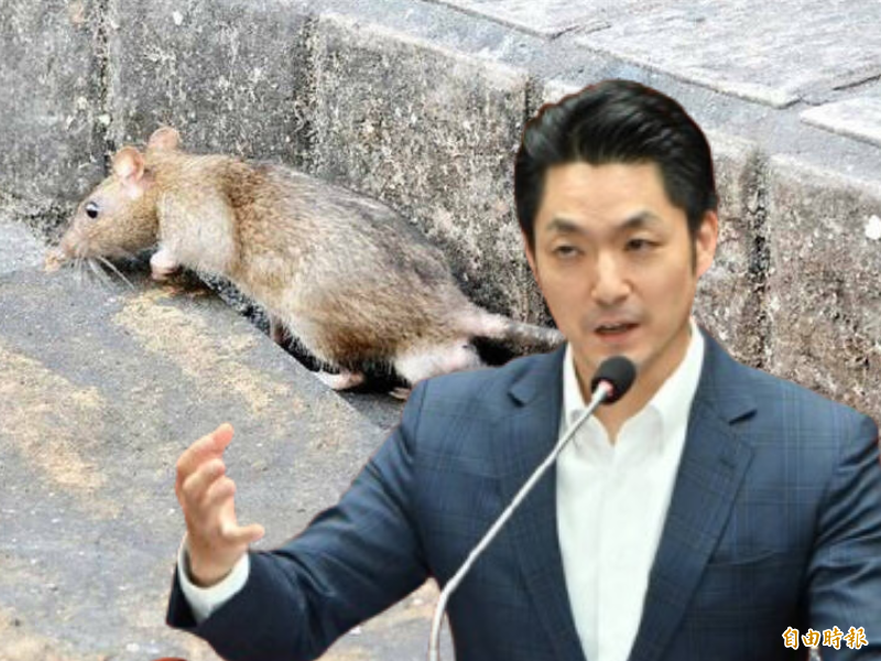 自由開講》「鼠類偵防師」是公共衛生政策的根本誤判