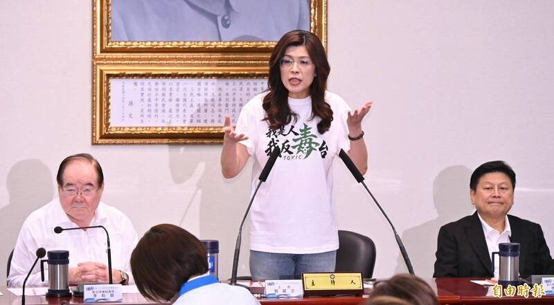 自由開講》走出法理與現實的迷霧:評鄭麗文「台灣不是國家」的爭議與省思