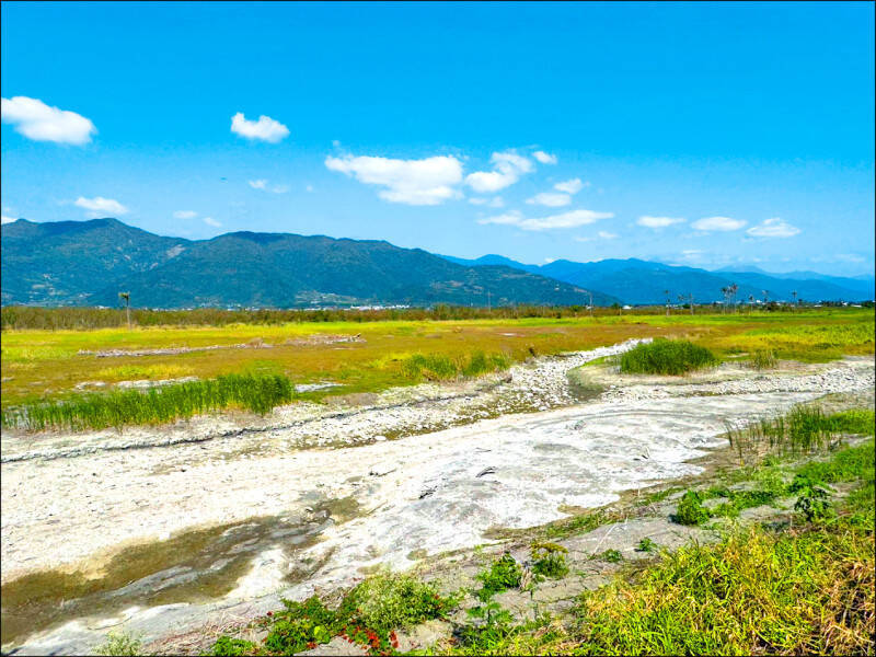 自由開講》沒有水,哪來濕地?知本濕地揭露台灣環境治理最大的盲點